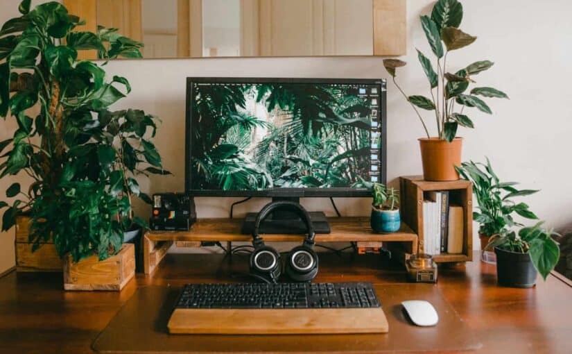 A Blooming Digital Garden