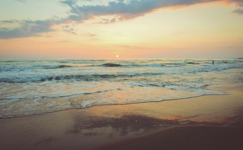 Where the Tide Speaks